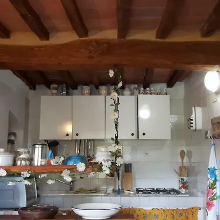 Casa Sassa