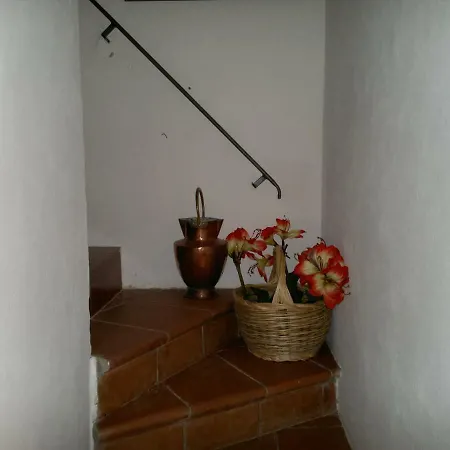 Casa Sassa Apartment *